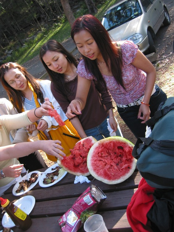 2003Picnic23.jpg